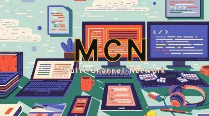 國內(nèi)MCN在不同角度下可劃分為不同種類