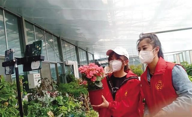 手機變身“新農具”、直播變成“新農活”、流量變成“新農資”--西坪村婦聯(lián)依托直播平臺開啟助農“新時尚”