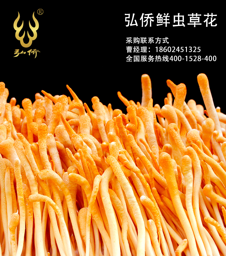 作為網(wǎng)紅大省，遼寧的電商產(chǎn)業(yè)發(fā)展如何？最新出爐的前三季度數(shù)據(jù)，給出了答案