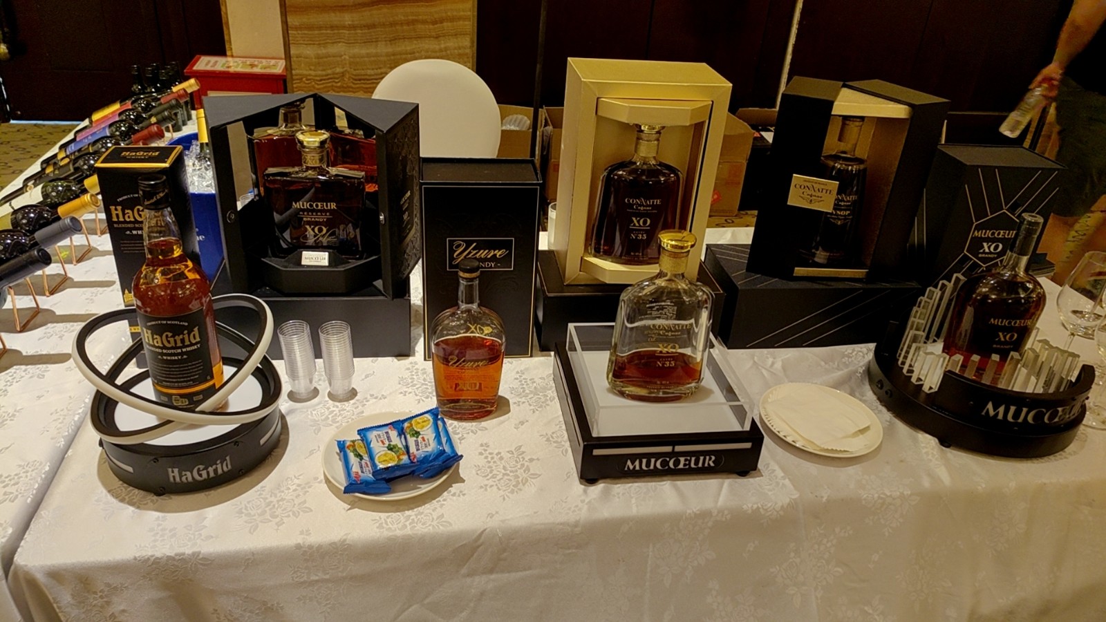 “貓一杯”的視頻 --她走到哪兒火哪兒，抖音、B站、小紅書、視頻號......各大平臺通吃