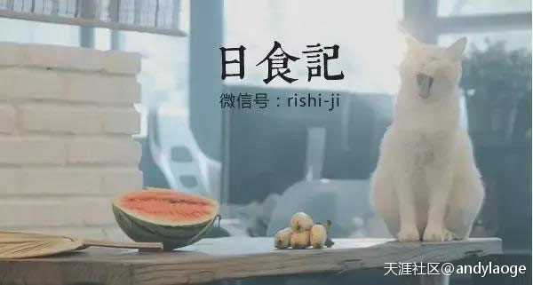 辦辦學苑：如何運用短視頻平臺？短視頻運營的玩法有什么？